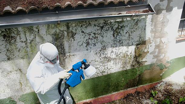 Trusted Mold Removal service in Glenmoore, PA - Cheap Mold Removal